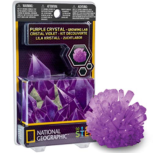 BANDAI 80472 National Geographic – Juego de cría de Cristal – Modelo Aleatorio – Juego Educativo y científico – STEM-80472