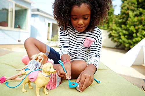Barbie y su perrito popó, muñeca con accesorios (Mattel DWJ68)