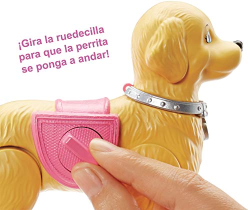 Barbie y su perrito popó, muñeca con accesorios (Mattel DWJ68)