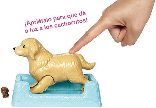 Barbie y sus perritos sorpresa, muñeca con accesorios, regalo para niñas y niños 3-9 años (Mattel FDD43) , color/modelo surtido