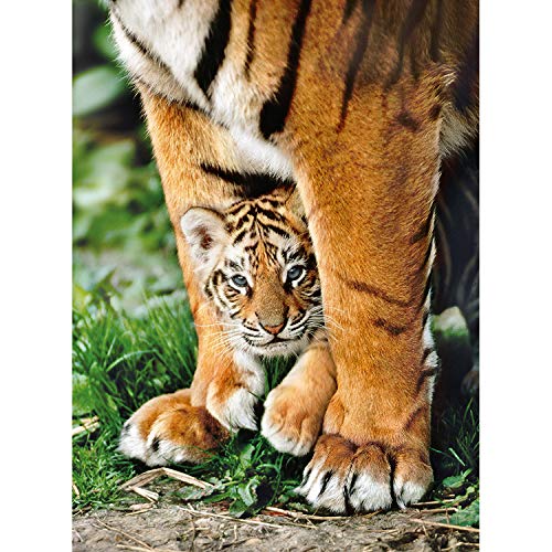 Clementoni 35046 puzzle Puzzle - Rompecabezas (Puzzle rompecabezas, Fauna, Adultos, Tigre, Hombre/Mujer, 14 año(s)) , color/modelo surtido