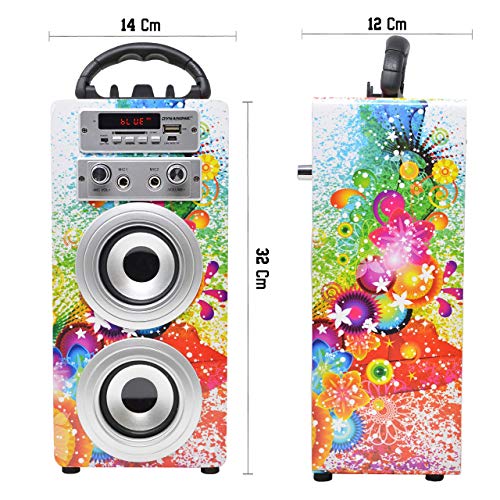 DYNASONIC - Altavoz Bluetooth Portátil con Karaoke | Radio FM y Lector USB SD (Modelo 1, 2 Micrófonos)
