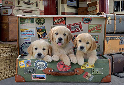 Educa - Cachorros en el Equipaje Puzzle, 500 Piezas, Multicolor (17645)