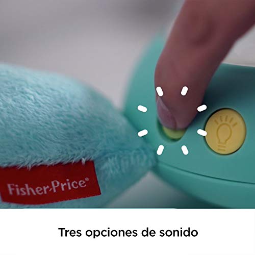 Fisher-Price CGN86 Hippo Plush Projection Soother, New-Born Soft Light Projector White Noise Toy