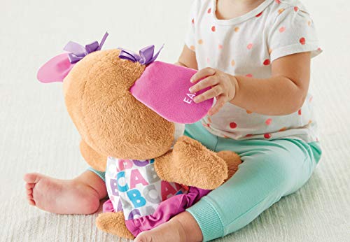 Fisher Price FPP51 Laugh & Learn Smart Stages Sis - Juguete educativo con palabras, formas, números y letras en idioma inglés para niños de 6-36 meses