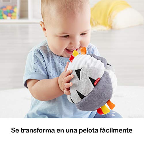 Fisher-Price Gimnasio activity 2 en 1, manta de juego para bebé (Mattel GFC35) , color/modelo surtido