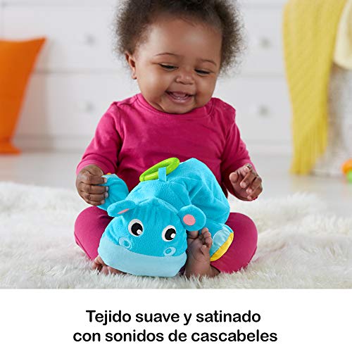 Fisher-Price Gimnasio activity 2 en 1, manta de juego para bebé (Mattel GFC35) , color/modelo surtido