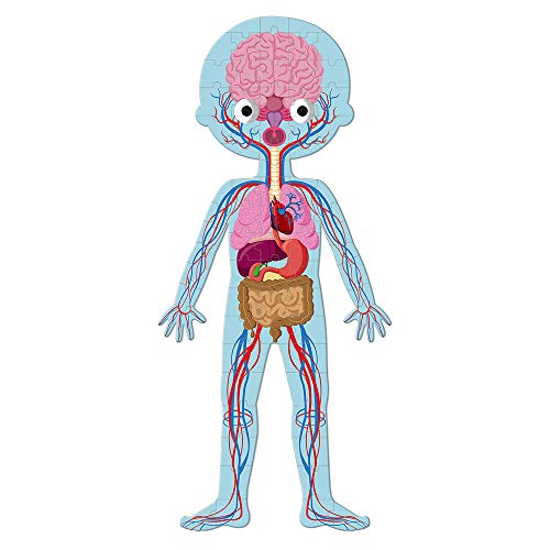 Janod - Juego de 4 puzzles gigantes sobre el cuerpo humano - 50, 75 y 100 piezas - Tarjetas educativas en 12 idiomas - Descubrimiento del cuerpo humano - A partir de 5 años, J02681