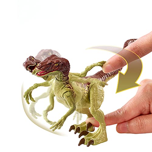 Jurassic World Velociraptor fuerza feroz Dinosaurio articulado, figura de juguete para niños (Mattel GWN32)