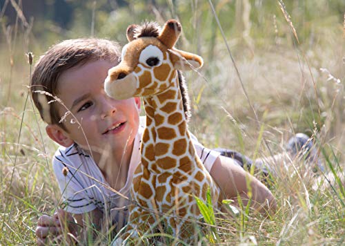 Keel - Peluche Koala, 28 cm (SW3658)