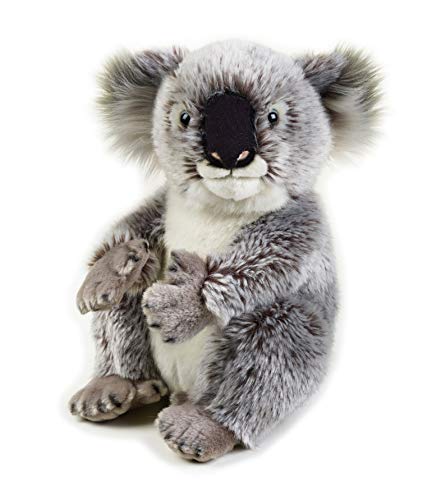 NATIONAL GEOGRAPHIC- Koala Bär Peluche, Color Gris (9770708)