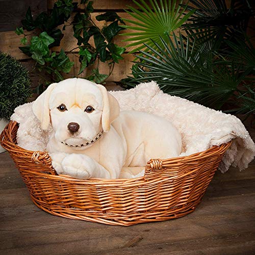 Nature-AN482 Living Nature - Peluche gigante para perro labrador, color dorado (60 cm), Keycraft AN482 , color/modelo surtido