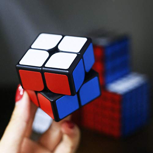 OJIN Shengshou Mr.M 2x2 Gema Baoshi Cube Rompecabezas Cerebro Twist Puzzle Juguetes (Negro 2x2)