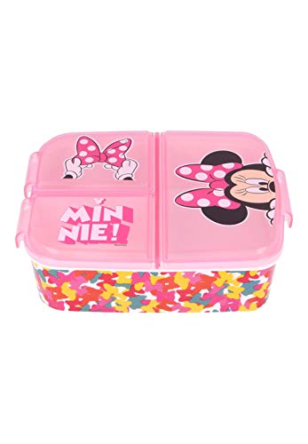 Paw Patrol - La Patrulla Canina Skye caja de almuerzo fiambrera caja de comida para niños con 3 compartimentos separados + y pegatinas de nombre para niños