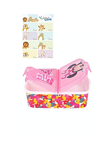 Paw Patrol - La Patrulla Canina Skye caja de almuerzo fiambrera caja de comida para niños con 3 compartimentos separados + y pegatinas de nombre para niños