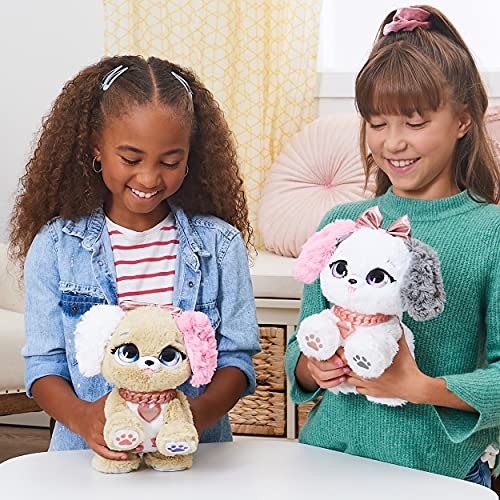Spin Master- Present Pets - Fancy Pup (6051197)