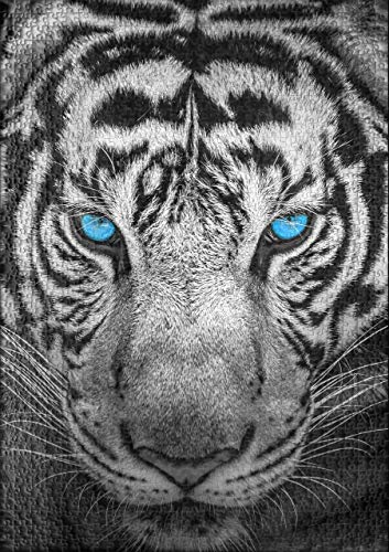 Ulmer Puzzleschmiede - Puzzle Tigre - Puzzle de 1000 Piezas - Tigre majestuoso en Primer Plano