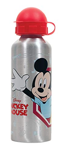 Botella de Agua de Aluminio, cantimplora térmica a Prueba de Fugas sin BPA para Levar a la Escuela y Deportes el Termo 500ml para niños y niñas (Gris-m)