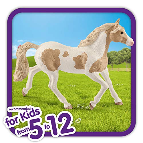 Caballo