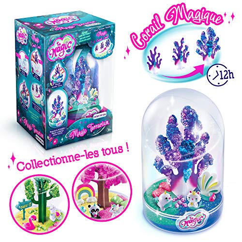 Canal Toys MSG 011 SO DIY So Magic - Terrario Grande para Hacer Crecer – Diseño Under The Sea