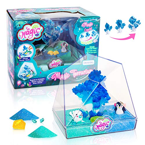 Canal Toys MSG 014 So DIY So Magic - Terrario Mediano, Modelo Aleatorio