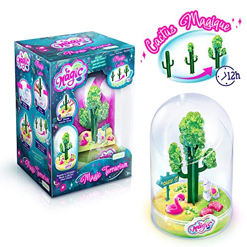 Canal Toys- So Magic- Terrario Grande – Desert, Color Arena (MSG 010)