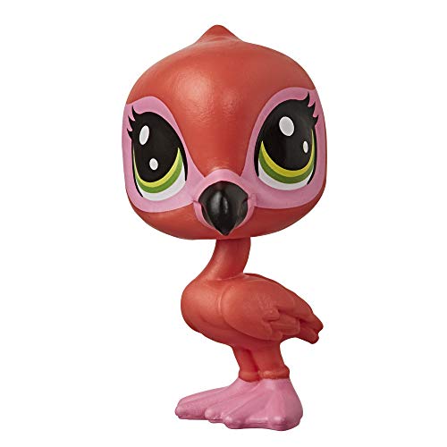 CASA DE Pet Acogedora LPS