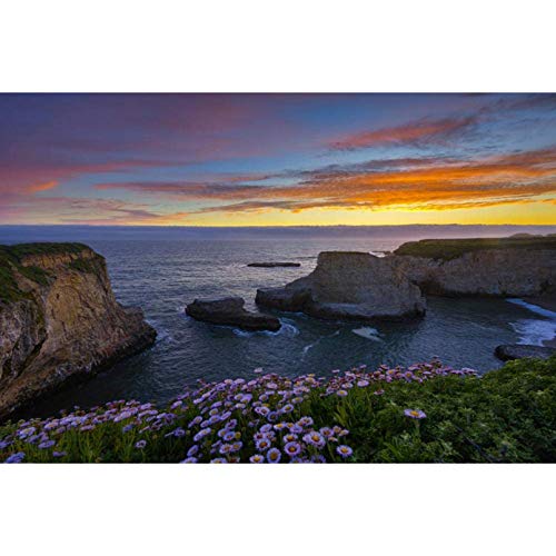 CHANGJIU Rompecabezas para Adultos 1000 Piezas- Amaneceres y atardeceres Coast Bellis Shark Fin (75 * 50cm) -
