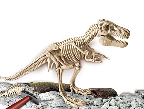 Clementoni-55109 - Arqueojugando El esqueleto del Gran T-Rex - juego científico para excavar y montar dinosaurios a partir de 7 años