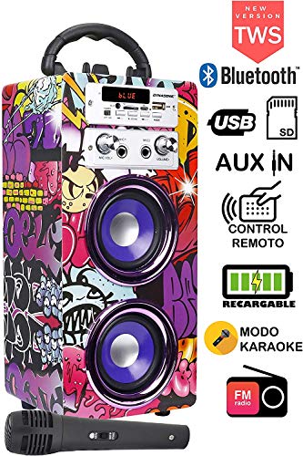 DYNASONIC (3.ª generación) - Altavoz Karaoke Infantil para niños y niñas | Radio FM y Lector USB SD (Modelo 12)