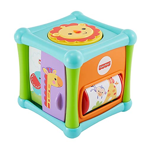 Fisher Price – Animal Activity Cube (BFH80)