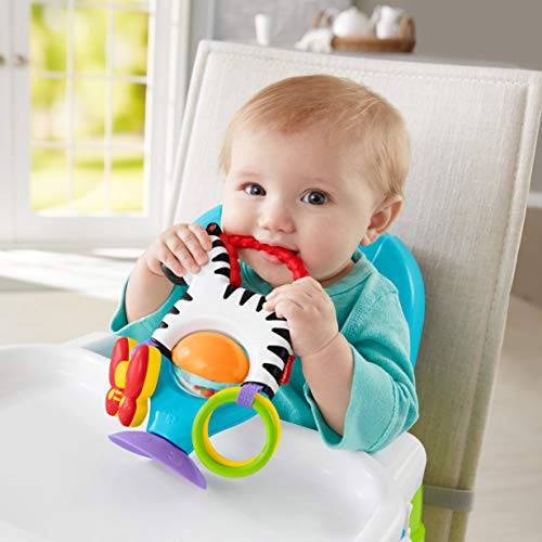 Fisher-Price FGH80 Actividad Cebra Juguete