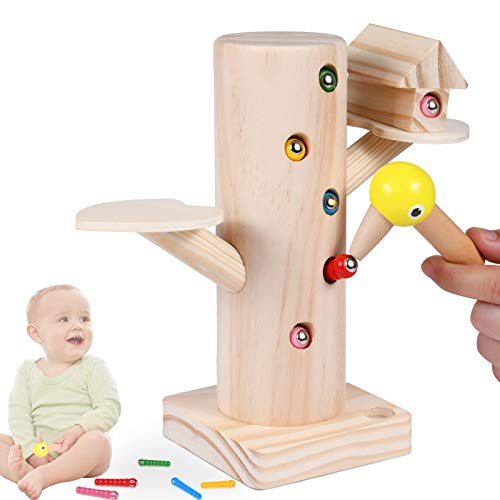 Juego Infantil Magnetico, Pajaro Carpintero Juguete,Juego de Atrapar Insectos de Pájaro Carpintero,con Emocionales en Bebes y Niños de Edad Preescolar,Colores Que Desarrolla Habilidades Cognitivas