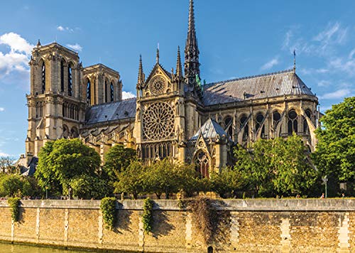 Jumbo- Notre Dame, Paris Puzzle de 1000 piezas (18528.0) , color/modelo surtido