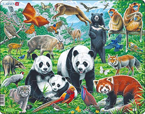 Larsen FH43 Familia de Osos Panda en una Meseta montañosa de China, Puzzle de Marco con 56 Piezas
