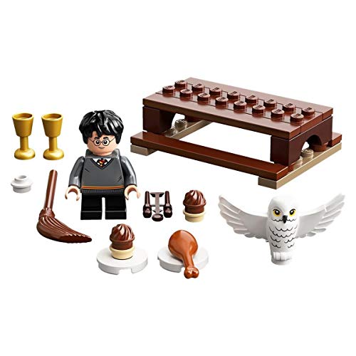 LEGO 30420 Polybag Harry Potter and Hedwig Owl …
