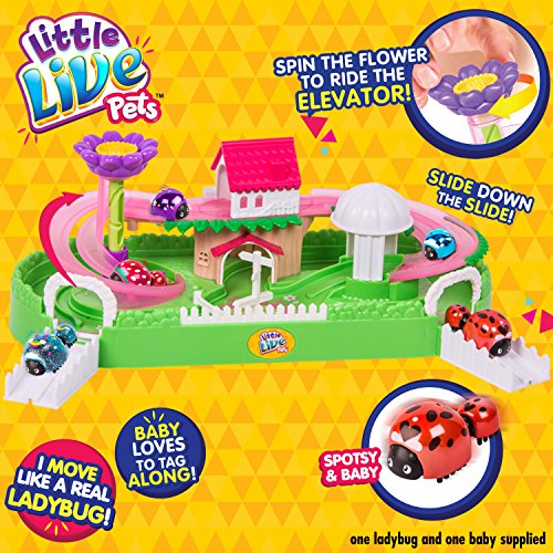 Little Live Pets Juguete de Mariquita