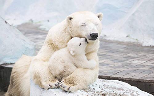 Lsping Puzzle Marvel 1000 Piezas Osos Osos Polares Cachorros Dos Abrazo Lindo 50x70cm
