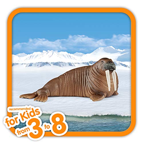 Schleich- Figura Morsa, 5,1 cm.
