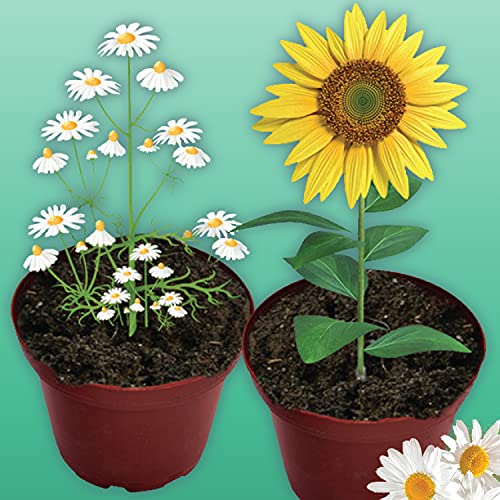 Science4you - Primer Kit de Ciencias para Niños 4 Años - 26 Experimentos para Niños 4 Años: Burbujas de Jabon, Set Jardineria Infantil y Laboratorio de Colores, Juegos Educativos para Niños 4-7 Años