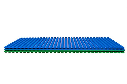 Strictly Briks - Bases Planas clásicas para Construir - Ideal para Hacer una Mesa de Juegos - 100 % Compatible con Todas Las Grandes Marcas - 25,4 x 25,4 cm - 2 Bases Azules y 2 Verdes