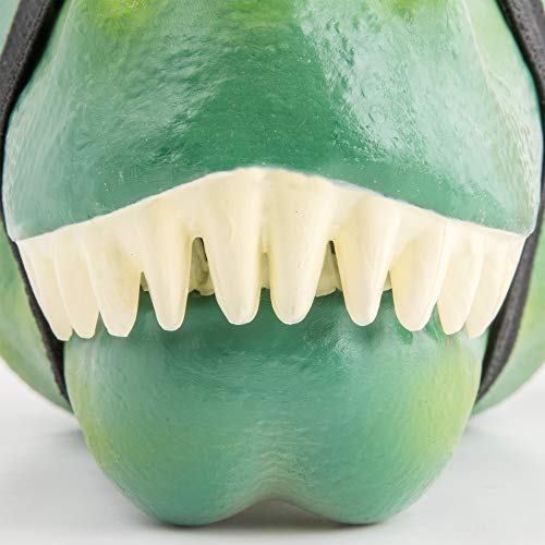 Suck UK SK boxdino1 Caja plástico Verde 23,5 x 16,5 x 12,5 cm