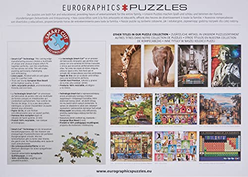 The Garden of Earthly Delights Puzzle