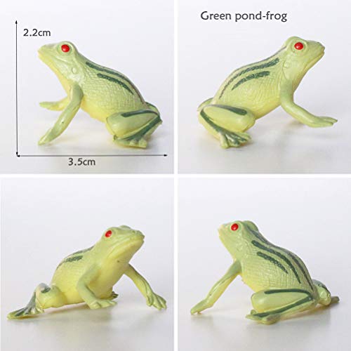 Toyvian Figuras de Ranas Juguetes Divertidos 12 Piezas, Juguetes de Animales de Ranas de plástico Surtidos, Ranas de Juguete realistas, Juego de Juguetes de Ranas con rocalla y árbol