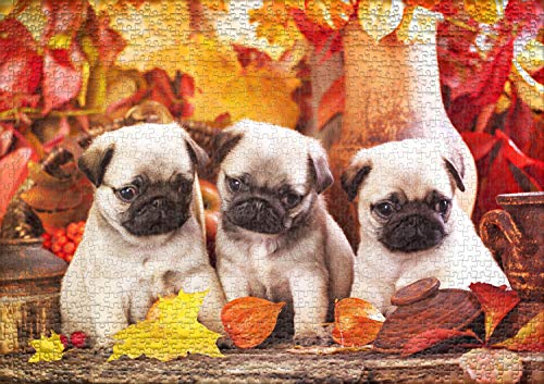 Ulmer Puzzleschmiede - Puzzle "Adorables cachorros": Puzzle de 1000 piezas - Imagen de tres lindos cachorros de carlino para los amantes de los perros