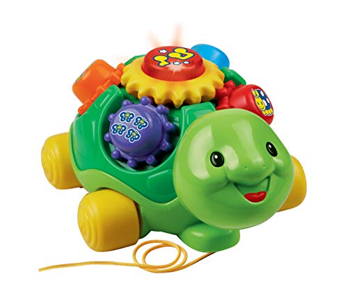 VTech- Tortuga Infantil interactiva con luz y Voz (3480-143122)