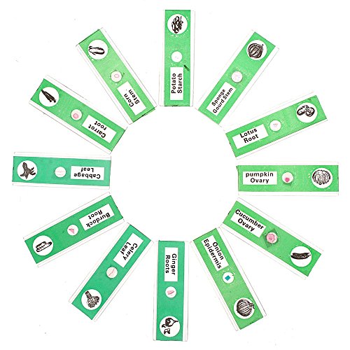 WhizKidsLab 48pzas Juego Muestras Preparadas Microscopio Animales Insectos Plantas Flores Plástico 1pza Espécimen Mariposa Real Estudiantes Ciencia Juego Educativo