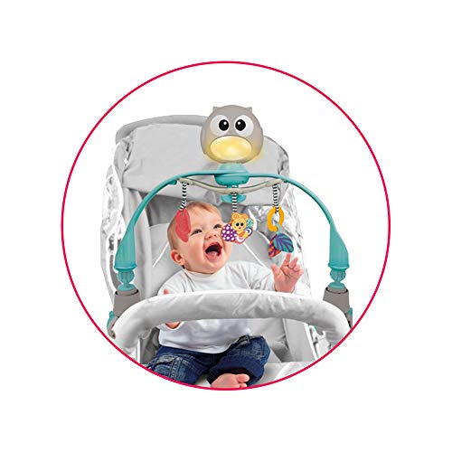 winfun - Carrusel musical para cuna y carrito (46322)