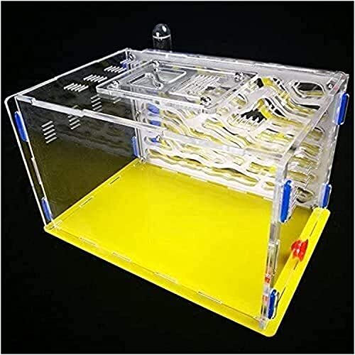 AY Hormigas de hormigas granja hormiguero hormiguero hormiga hormiga hormiga hormiga hormiga hormigas en vivo no incluyeron el montaje de bricolaje Hábitat Educativo y aprendizaje Kit de ciencia jugue