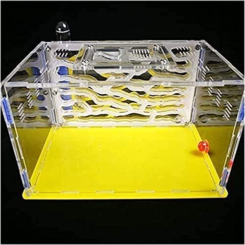 AY Hormigas de hormigas granja hormiguero hormiguero hormiga hormiga hormiga hormiga hormiga hormigas en vivo no incluyeron el montaje de bricolaje Hábitat Educativo y aprendizaje Kit de ciencia jugue